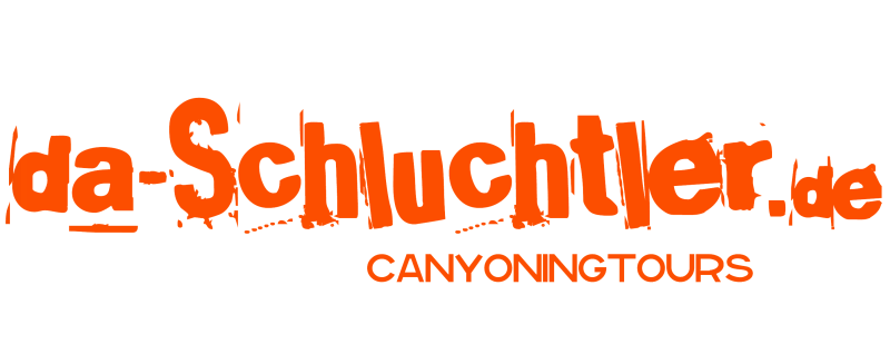 a close up of a logo